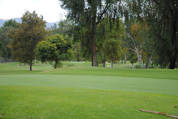 DSC 0756