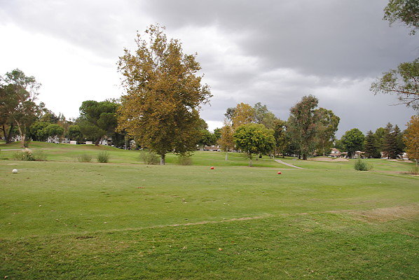 DSC 0729