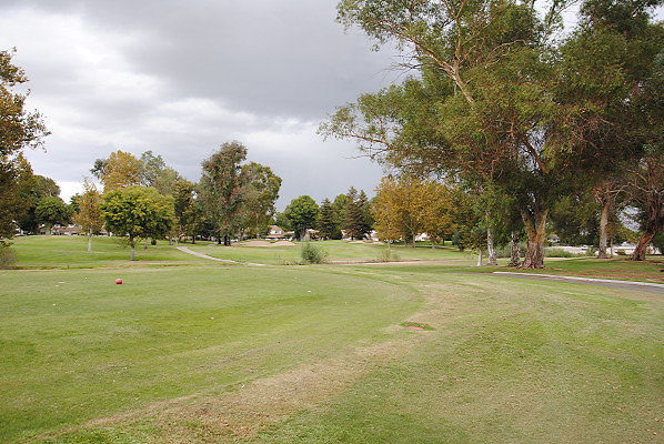 DSC 0730