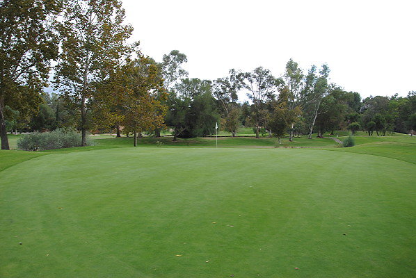 DSC 0740