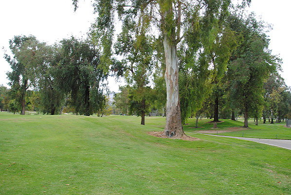 DSC 0738