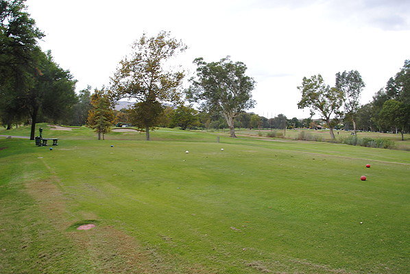 DSC 0734