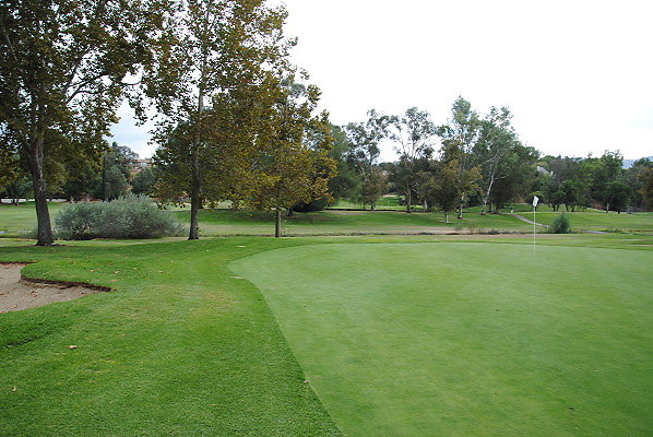 DSC 0745