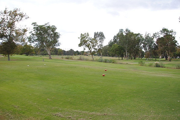 DSC 0735