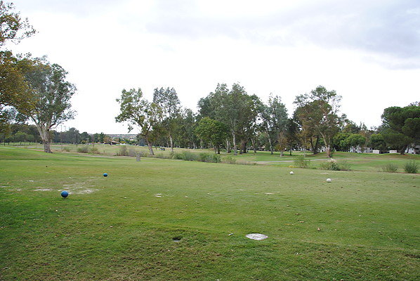 DSC 0728