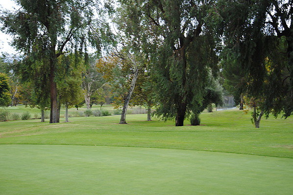 DSC 0750