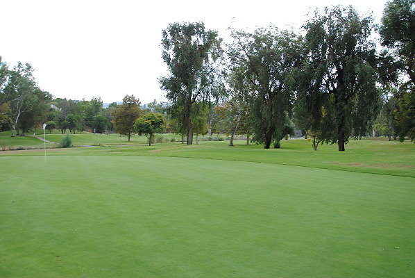 DSC 0746