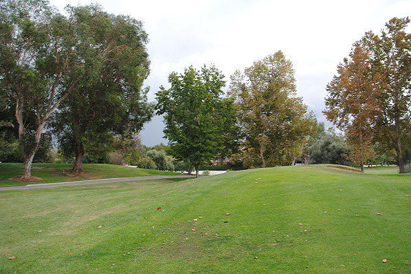 DSC 0736