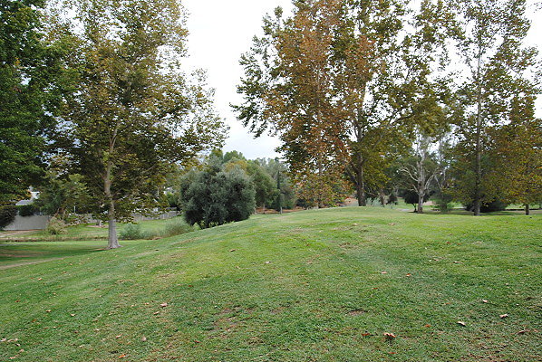 DSC 0757