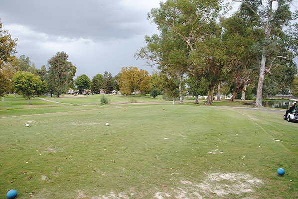 DSC 0725