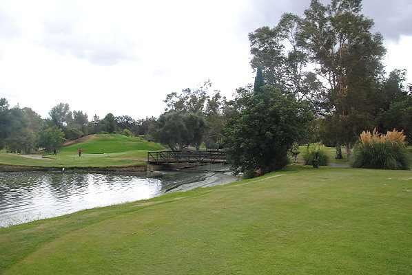 DSC 0084