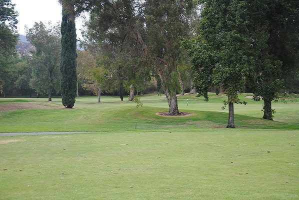DSC 0082