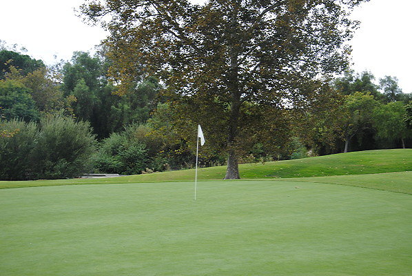 DSC 0124