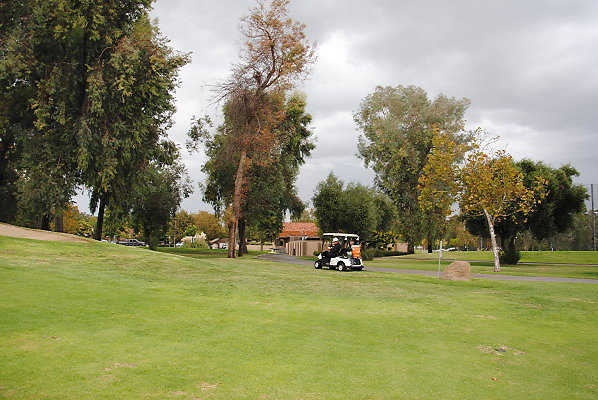 DSC 0110