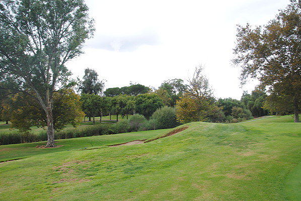DSC 0114