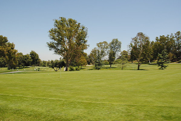 DSC 0271