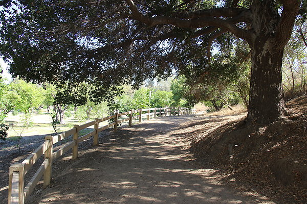 A-Park-OMELVENY-Ghls-027