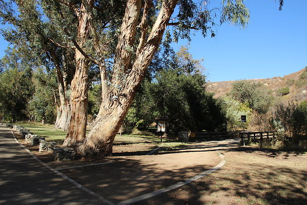 Park-OMELVENY-Ghls-049