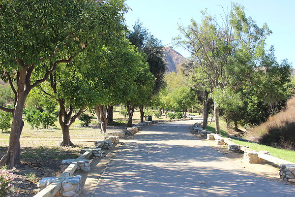 1-Park-OMELVENY-Ghls