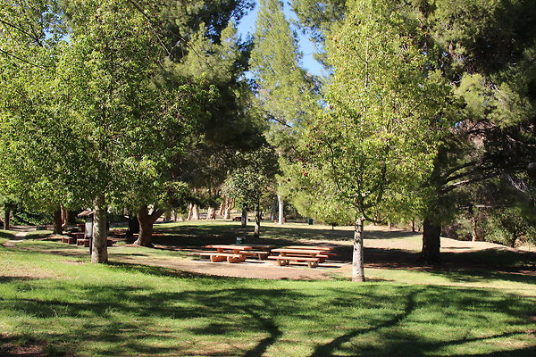 Park-OMELVENY-Ghls-029