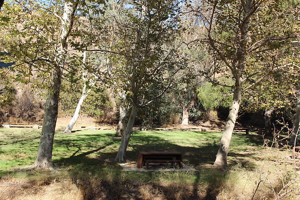 Park-OMELVENY-Ghls-063