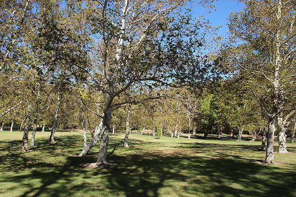 Park-OMELVENY-Ghls-095