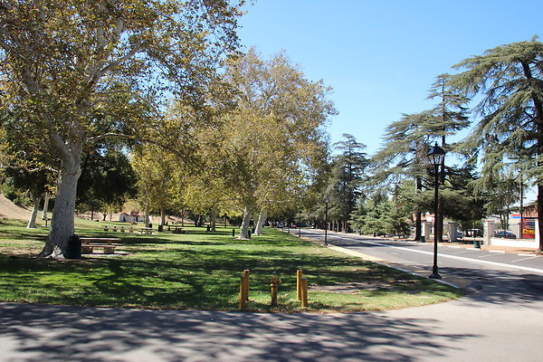 W HART Park-009