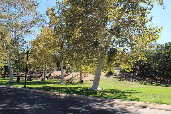 A-W HART Park-049