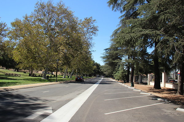 W HART Park-005