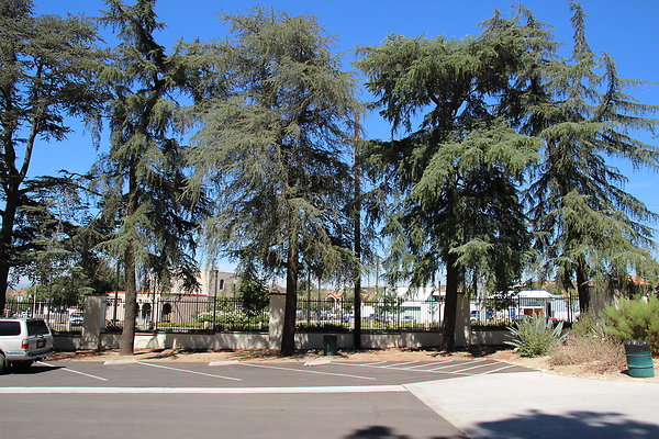 W HART Park-011