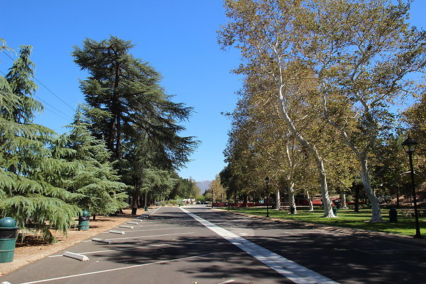 A-W HART Park-047