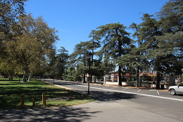 W HART Park-010