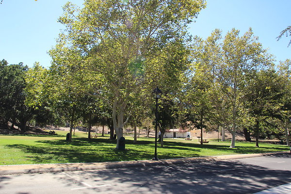 A-W HART Park-051