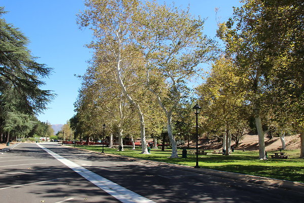 A-W HART Park-048