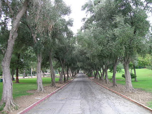 Vets Mem Park-LACO-03