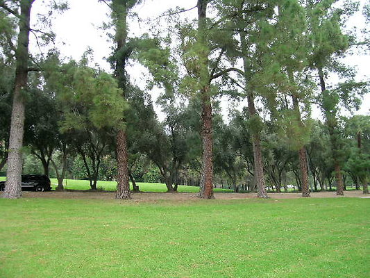 Vets Mem Park-LACO-11