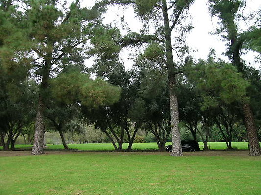 Vets Mem Park-LACO-12