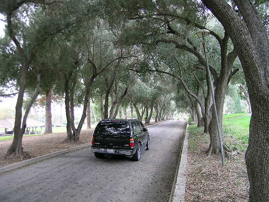 Vets Mem Park-LACO-08