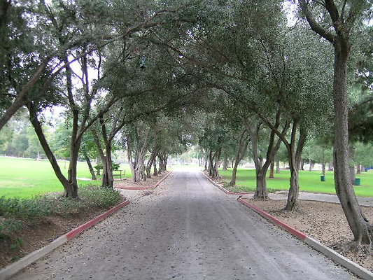 Vets Mem Park-LACO-07