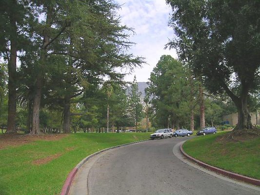 Vets Mem Park-LACO-Alt-04