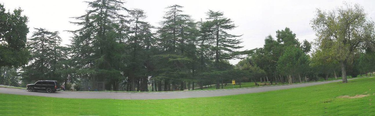 Vets Mem Park-LACO-Alt-11