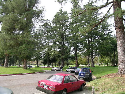 Vets Mem Park-LACO-Alt-02