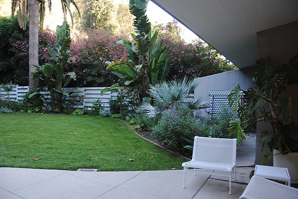 DSC 0074