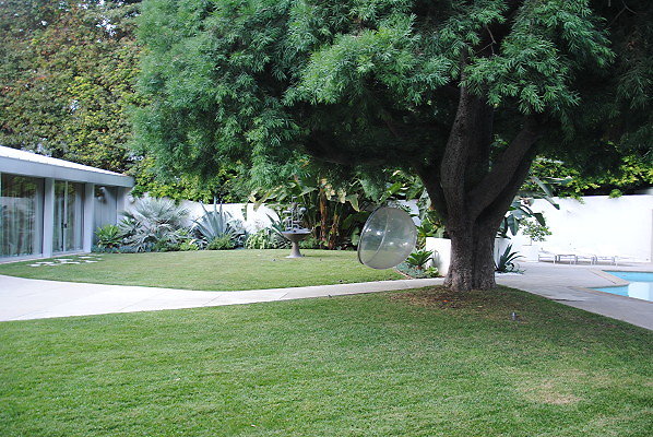 DSC 0098