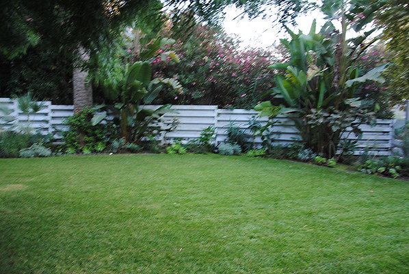 DSC 0080