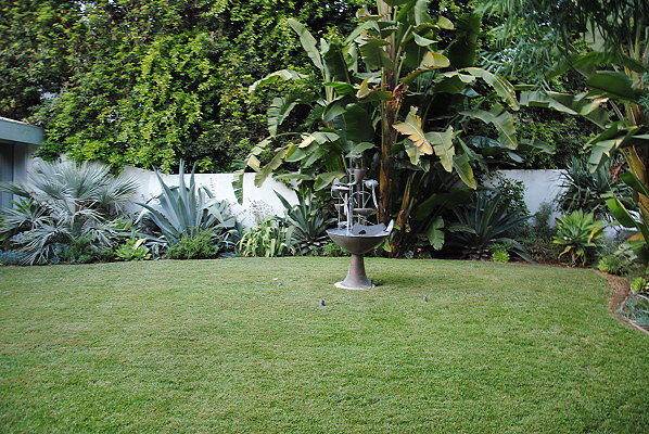 DSC 0078