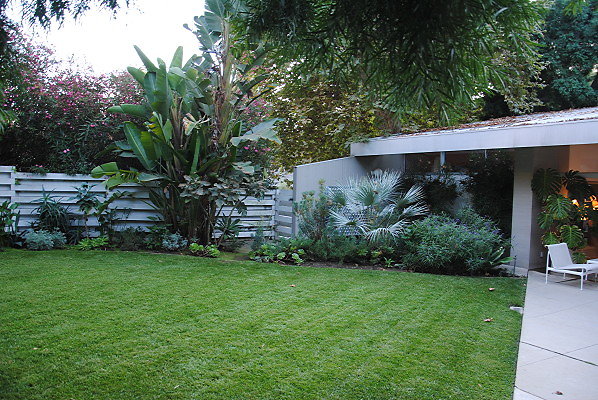 DSC 0075