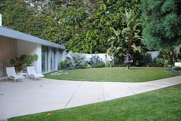 DSC 0102