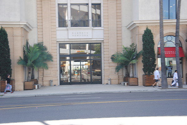 DSC 0120