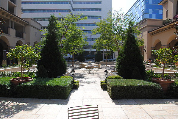 DSC 0224